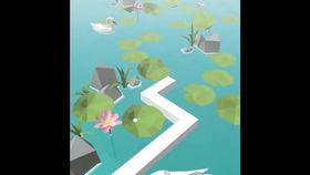 鸭子跳舞的视频,萌趣视频展现鸭子舞蹈风采