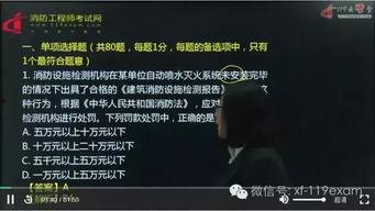 一级视频在线观看,在线观看新体验