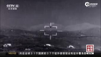 震撼的视频,震撼视频背后的故事与启示