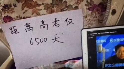 高考搞笑视频全集,笑料百出，揭秘学子备考幕后趣事