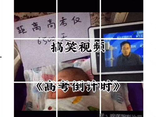 高考搞笑视频全集,笑料百出,揭秘学子备考幕后趣事