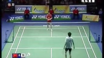羽毛球单打比赛视频,精彩瞬间回顾