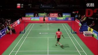 羽毛球单打比赛视频,精彩瞬间回顾