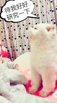 颈部护理视频,轻松打造紧致颈部线条