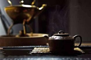 茶道初级视频,跟随视频轻松掌握初级茶艺技巧