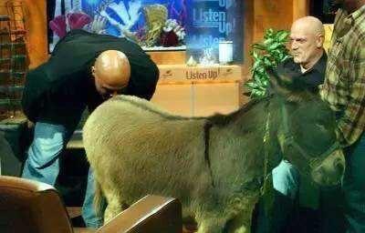 亲屁股视频,一场视觉与情感的碰撞